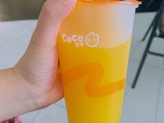 -CoCo都可(文星广场店)