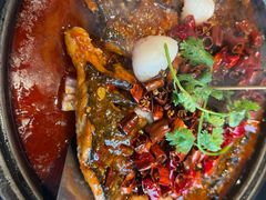 -辣尚瘾·烤鱼·新川菜(交大直营店)