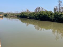 -大湾区中央湿地公园