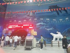 -蓬莱欧乐堡海洋极地世界