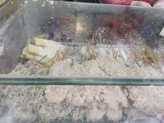 -辽B·小串(总店)