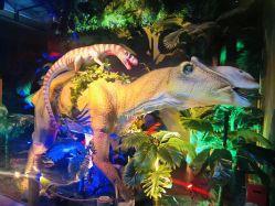 -恐龙探索乐园(磁器口店)