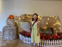 -三亚亚龙湾雅高铂尔曼别墅度假酒店