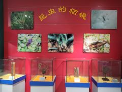-上海昆虫博物馆