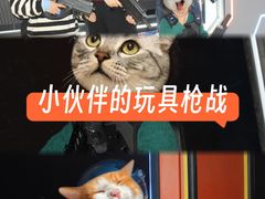 -融创茂(青岛店)