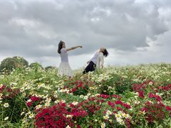 -保利石象湖景区