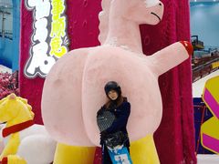 -广州热雪奇迹