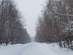 -山妹子铁锅炖