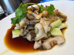 -碧丽宫大酒店(召稼楼店)