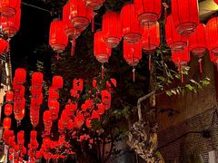 -梁溪河畔·吉府花园(南长街南下塘店)