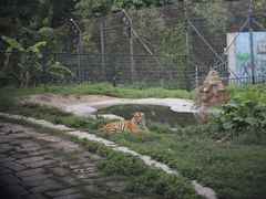 -深圳野生动物园