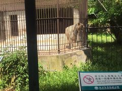 -广东茂名森林公园