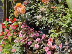 -山水茶艺馆·点心粤菜·30年老字号