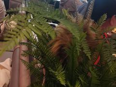 -老板恋上鱼(恒隆广场店)