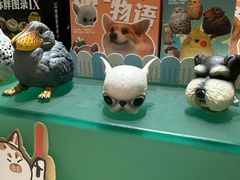 -帕帕拉兹宠物(亚洲旗舰店)