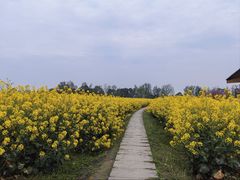 -中国天府农业博览园