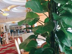 -晋江荣誉国际酒店·港誉茶餐厅