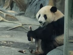 -武汉动物园