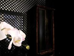 -上海璞麗酒店