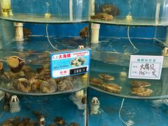 -叶存利海鲜大馅饺子(海宁路总店)