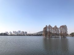 -东湖食堂·湖景餐厅•会议