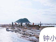 -盐洲岛