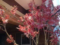 -三谷里·生态水疗空间(五一店)