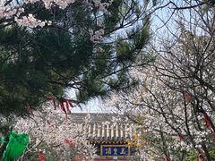 -妙峰山风景名胜区
