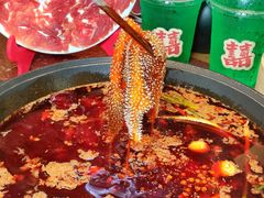 -赵美丽·重庆社区火锅·直营店(火车东站·中豪国际店)