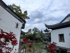 -芥子园