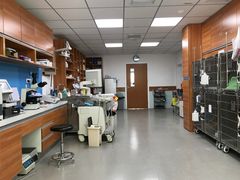 -宠福鑫动物医院·动物疾病诊疗中心(天通苑店)