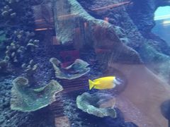 -OPEN開全日自助餐厅·牛肉火锅·海鲜(佛山希尔顿酒店)