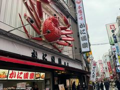-蟹道乐(道顿堀本店)
