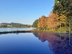 -白云湖畔酒店-湖畔餐厅