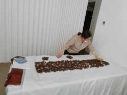 -姜美堂·蒸姜除湿の纤体美颜馆