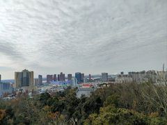 -赭山公园