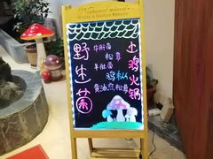 -蘑统田下·野生菌火锅