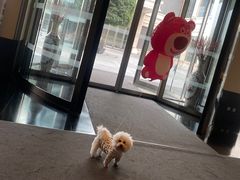 -成都安仁福朋喜来登酒店
