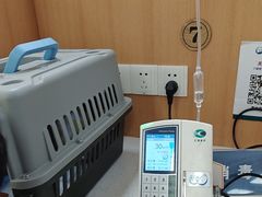 -联合动物医院(光谷诊疗中心)