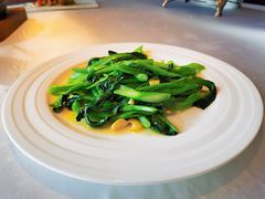 生炒菜心-梧桐餐厅(泉城路店)