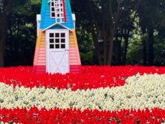 -上海共青森林公园