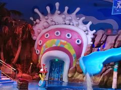 -烟台海昌鲸鲨海洋公园