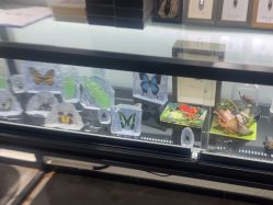 -酷嗒动物文化乐园(cutezoo西溪乐天城店)