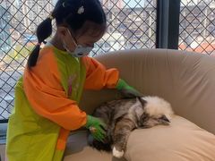 -怪兽屋·羊驼·猫咖·狗咖(俊华广场店)