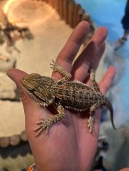 -酷嗒动物文化乐园(cutezoo西溪乐天城店)