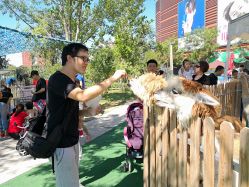 -萌宠亲子动物乐园(槐房万达店)