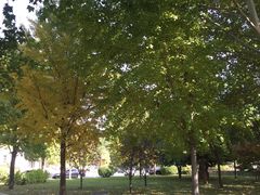 -中国石油大学（北京）(北京西校区)