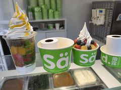 -Salud撒露欧洲冻酸奶(蓝色港湾店)