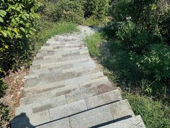 -午潮山国家森林公园