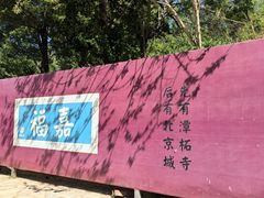 -潭柘寺景区